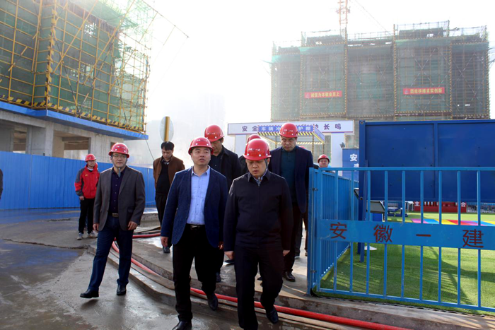 徐州沛县县长苏伟一行莅临安建地产·汉城源筑项目调研指导事情
