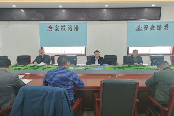 安徽路港公司党委副书记、总司理钱叶琳一行赴下层项目调研指导