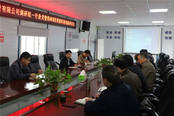 股份公司总工办主任陈刚一行赴灵璧船闸项目调研