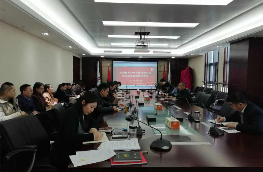 控股机关党委召开2018年度支部书记抓党建述职评议会