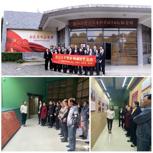 学史力行丨安徽水利各下层党组织开展党史学习教育主题活动