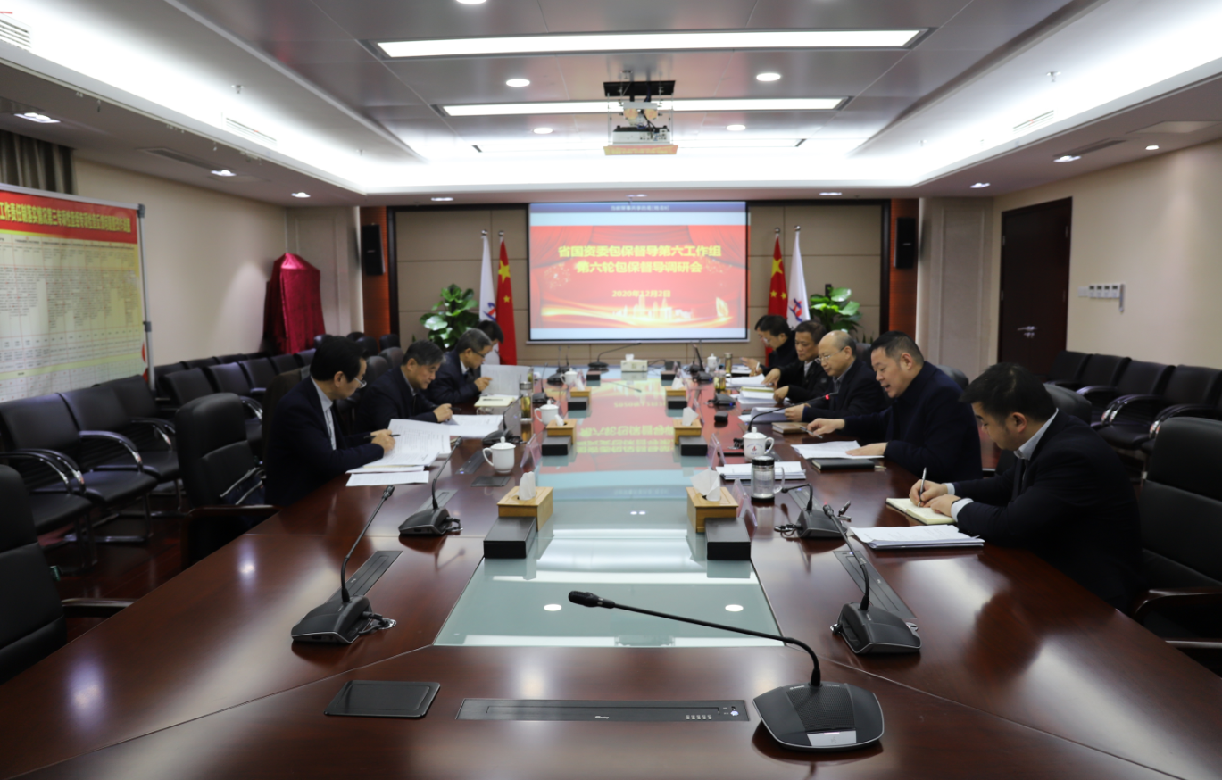省国资委包保督导第六组第六次赴集团督导调研
