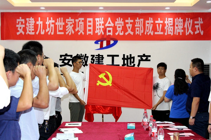 安建·九坊世家项目联合党支部揭牌仪式圆满举行