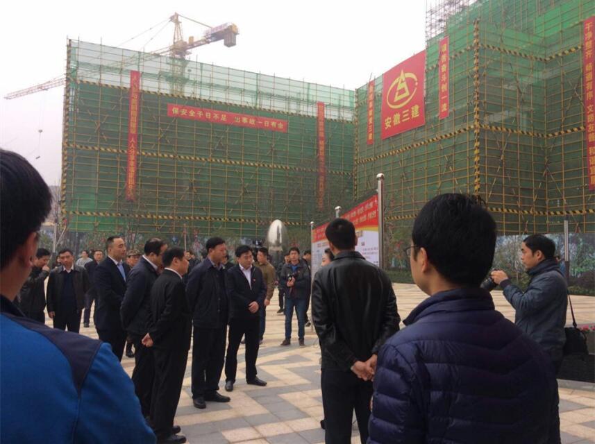 江西省委常委、副省长、南昌市委书记殷美根视察安徽三建力高澜湖花园项目