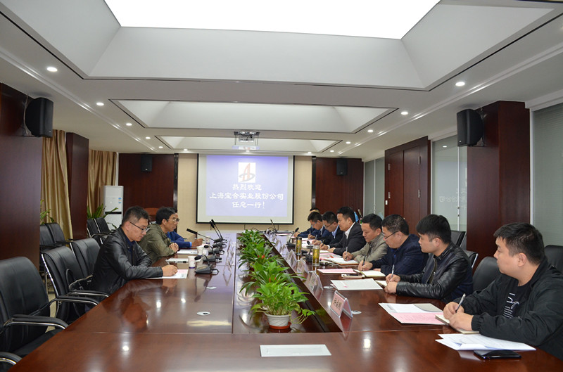 上海宝合实业股份公司到安建建材洽谈营业