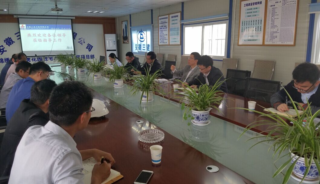 王厚良副总司理前往集团修建工业现代化项目安建漂亮花园三期指导事情