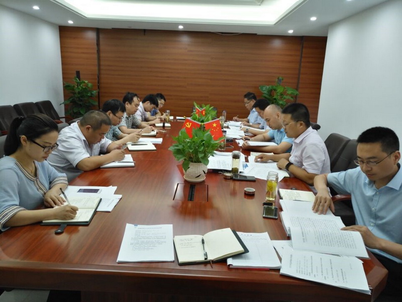 安建投资召开党总支中心组理论学习（扩大）会