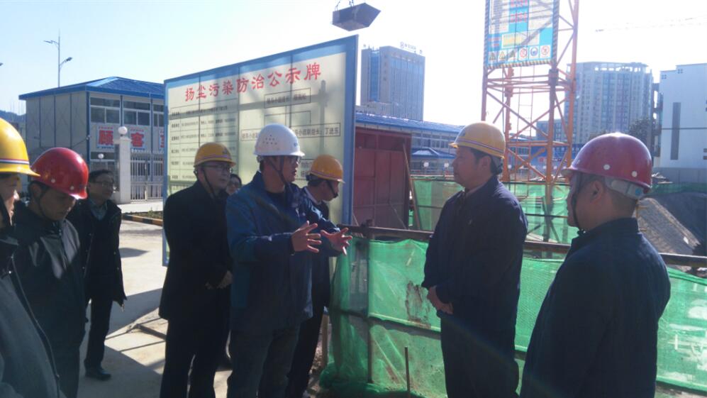 黄山市人大常委会主任程迎峰一行莅临安徽三建黄山柏悦华庭项目检查节后复工及清静生产事情
