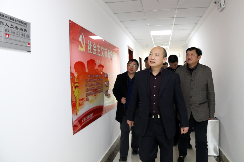 集团公司党委书记、董事长赵时运一行赴安徽水利温顺地产调研指导事情