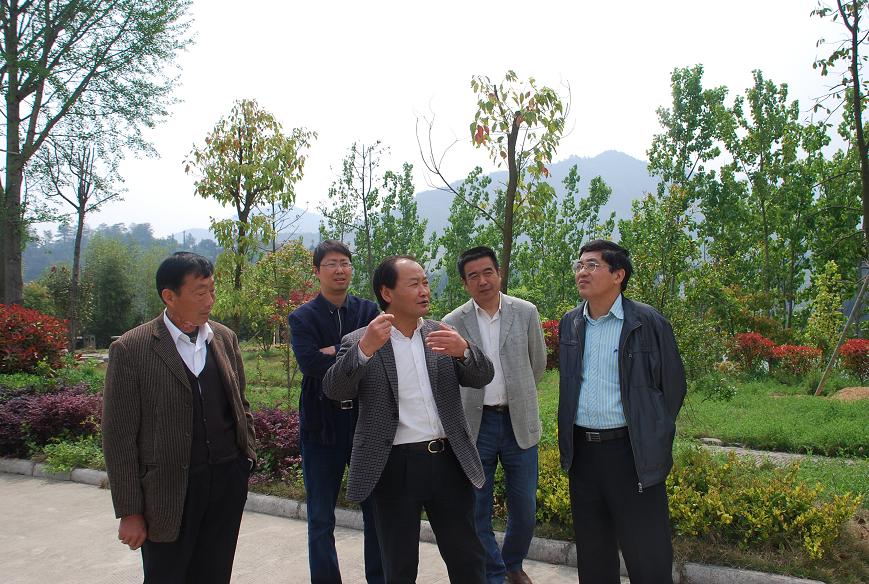 365英国上市与太平湖镇太平渔村结对共建