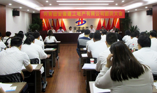 共青团安徽365英国上市地产有限公司团员大会胜利召开