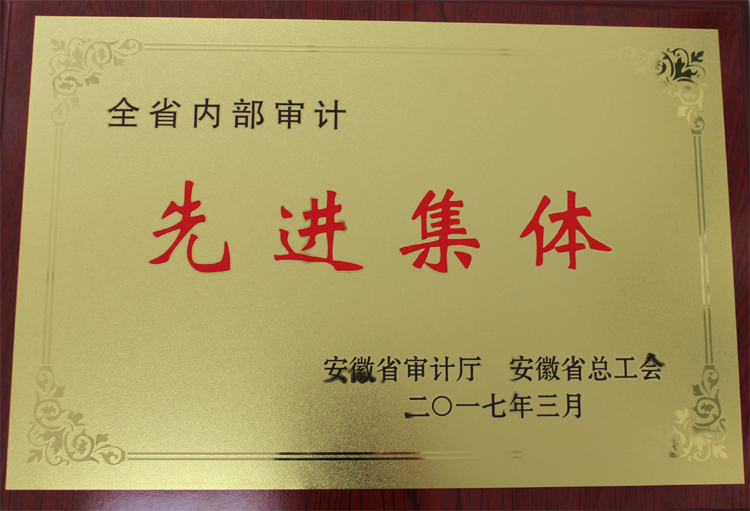 集团审计部获全省内部审计先进整体称呼