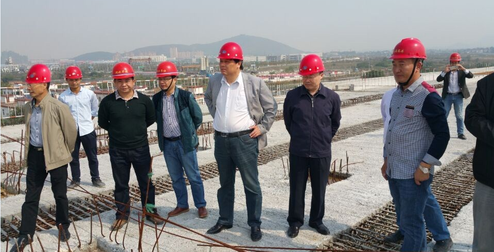 合肥市交通运输局向导莅临安徽路港S316裕溪河特大桥项目检查工程希望及节点完成情形