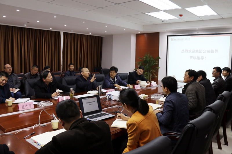 集团公司党委书记、董事长赵时运一行赴安徽水利温顺地产调研指导事情