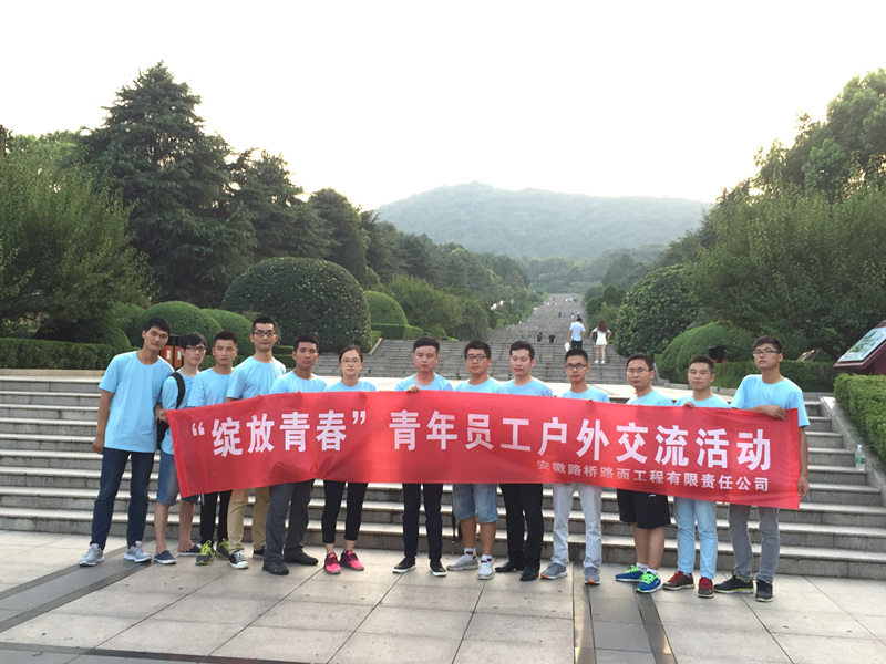 安徽路桥路面公司团总支开展“念书生长 绽放青春”青年念书交流活动