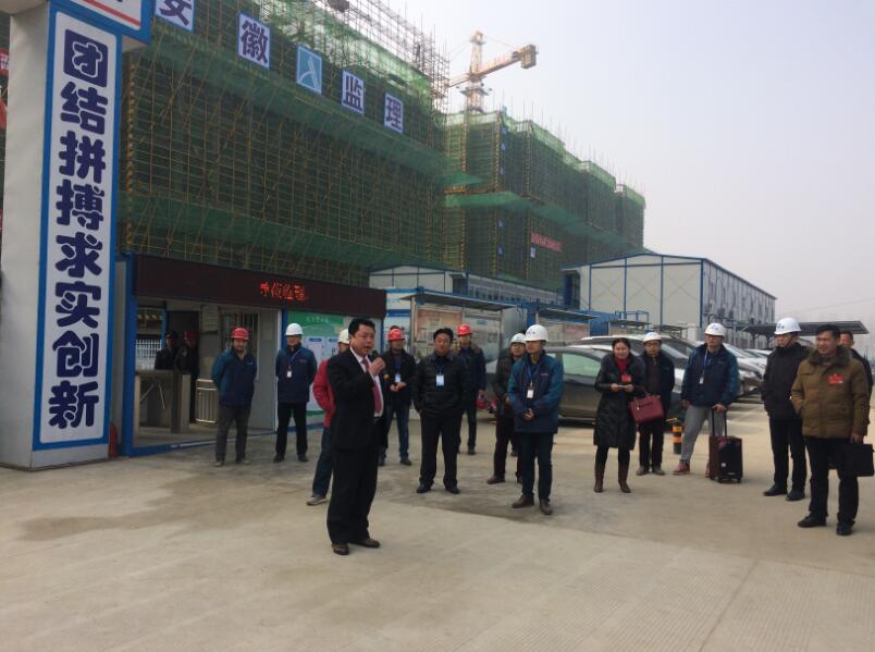 凤阳县人大观摩团观摩安徽三建苏商科技园项目