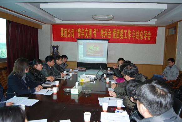 365英国上市团委召开年终总评会