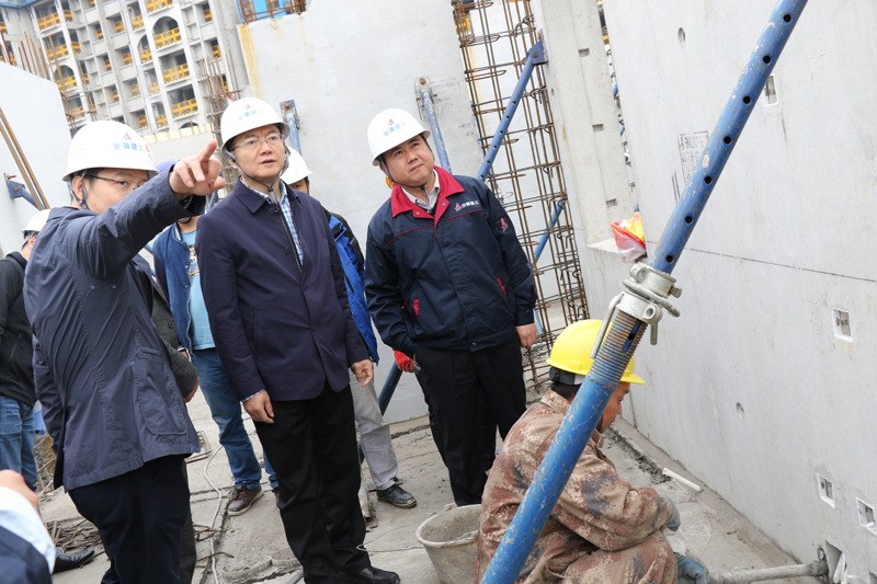 集团公司总司理刘家静赴漂亮花园工业化项目调研