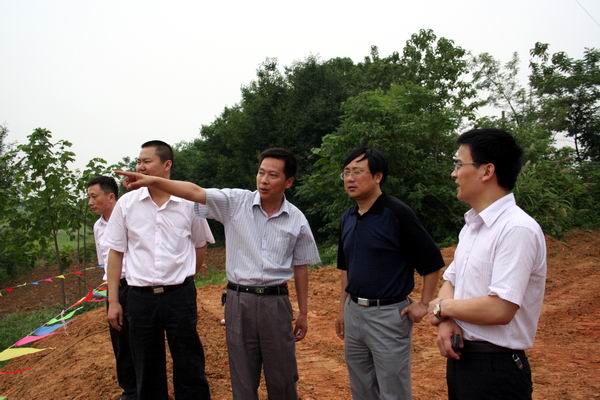 省路桥集团童宗胜董事长视察部分在建项目