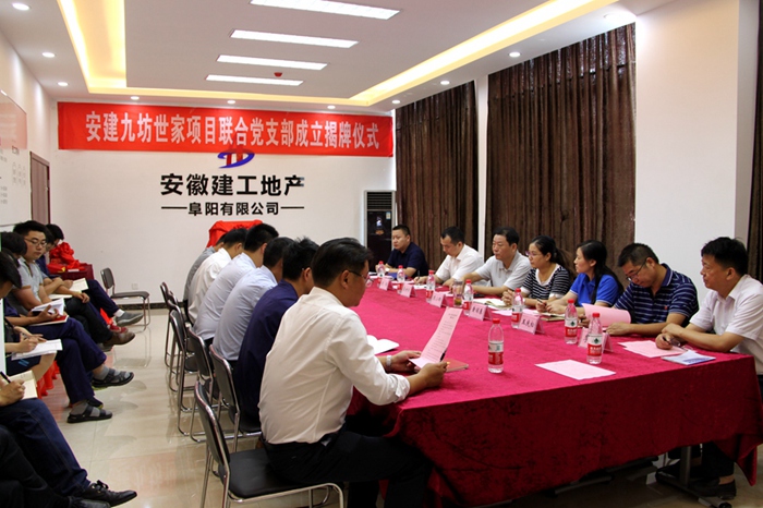 安建·九坊世家项目联合党支部揭牌仪式圆满举行