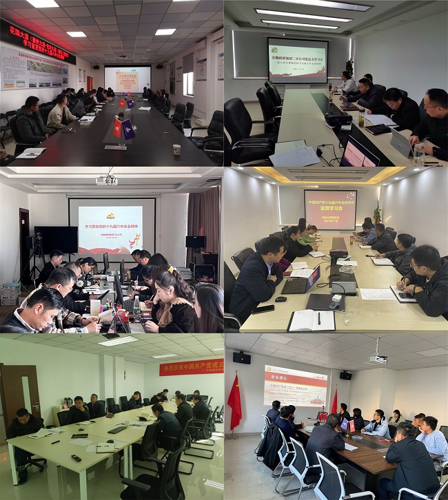 路桥集团认真学习贯彻党的十九届六中全会精神