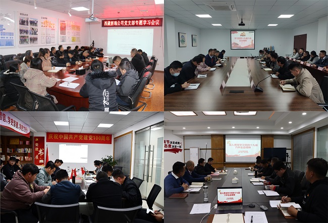 路桥集团认真学习贯彻党的十九届六中全会精神