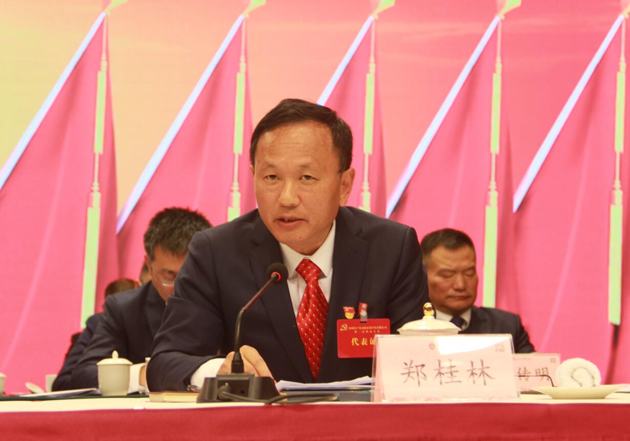郑桂林报告代表资格审查情形.jpg