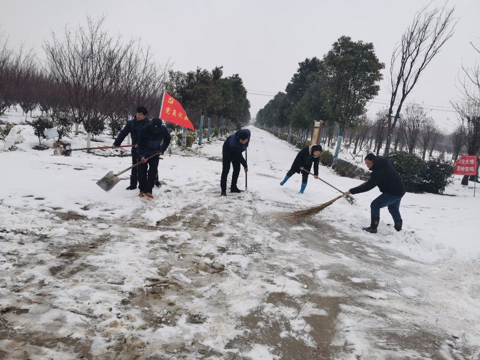 生态情形公司.jpg