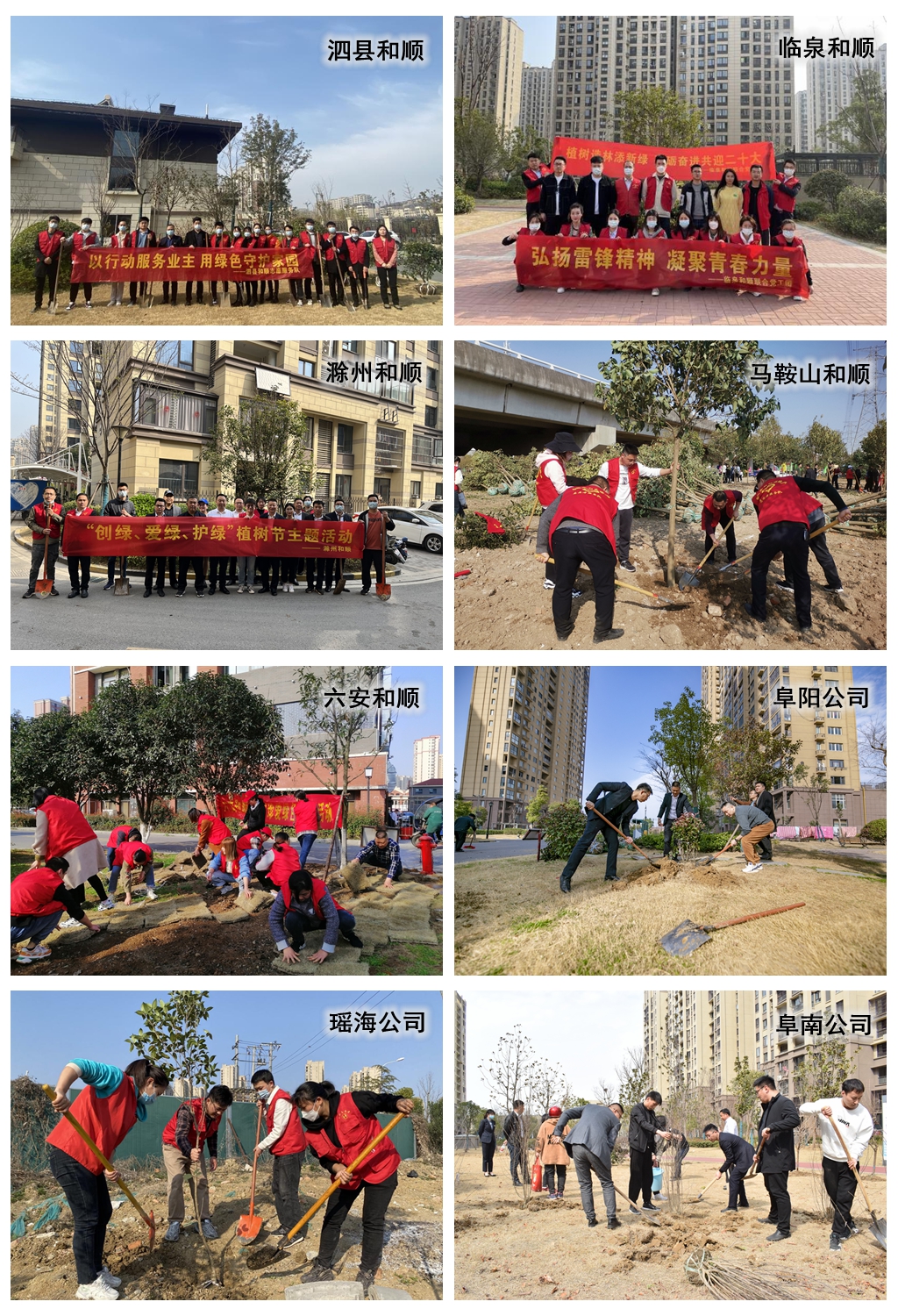 学雷锋 践行动 温顺地产开展“学雷锋月”活动 系列报道二：弘扬雷锋精神 共建绿色家园