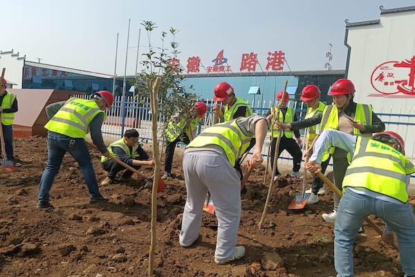 安徽路港公司所属团支部开展绿色植树自愿活动——学雷锋之；；；；で樾纹