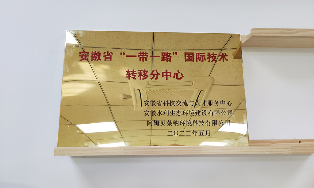 安徽省“一带一起”国际转移分中心.jpg