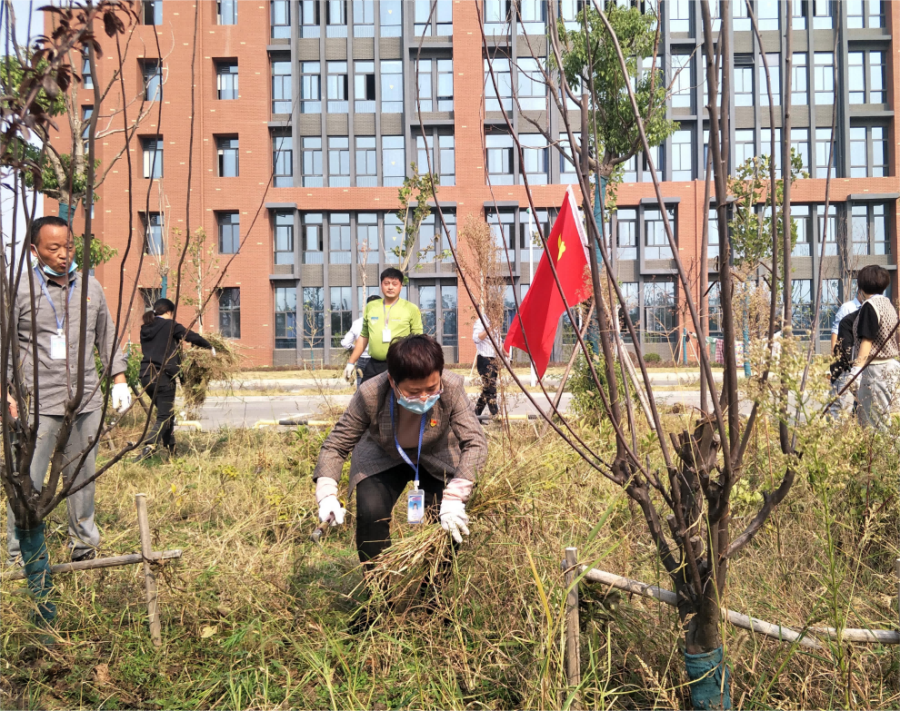 全心全意服务好师生 党员同志用现实验动践行二十大精神——安徽365英国上市技师学院水湖校区党员开展“美化校园·温情护校”活动