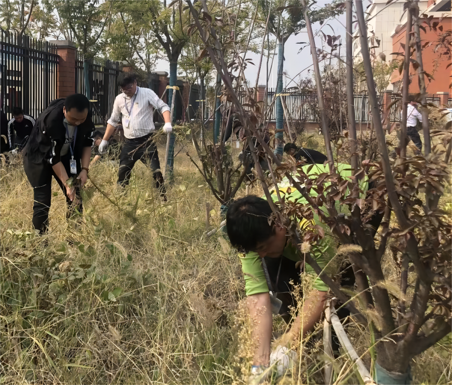 全心全意服务好师生 党员同志用现实验动践行二十大精神——安徽365英国上市技师学院水湖校区党员开展“美化校园·温情护校”活动