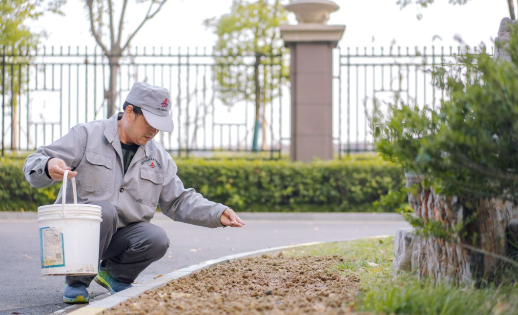 温顺地产“我为群众办实事”系列报道五： 深秋季，，，，，，温顺地产各项目绿地补植忙