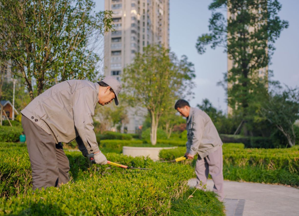 温顺地产“我为群众办实事”系列报道五： 深秋季，，，，，，温顺地产各项目绿地补植忙