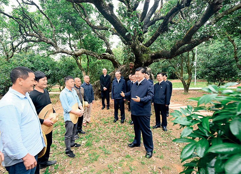 习近平：加速构建新生长名堂 掌握未来生长自动权