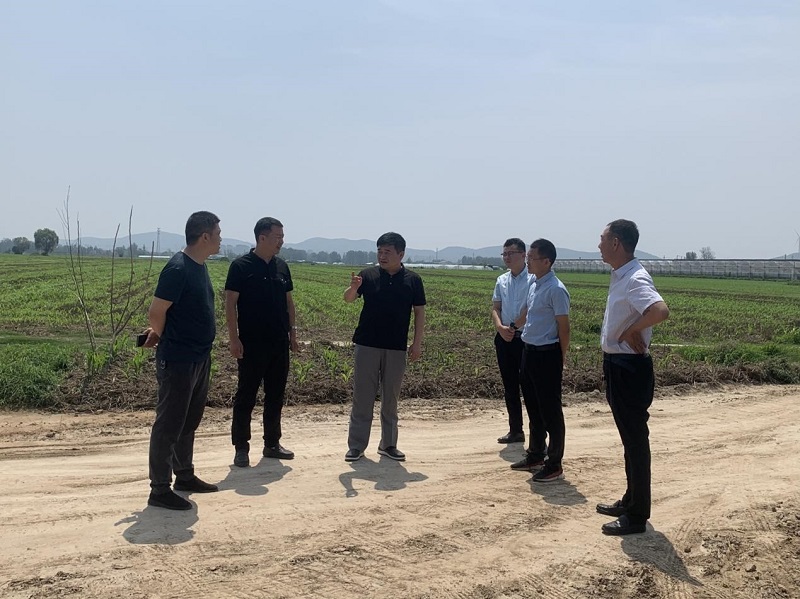 365英国上市(集团)有限公司-Official website