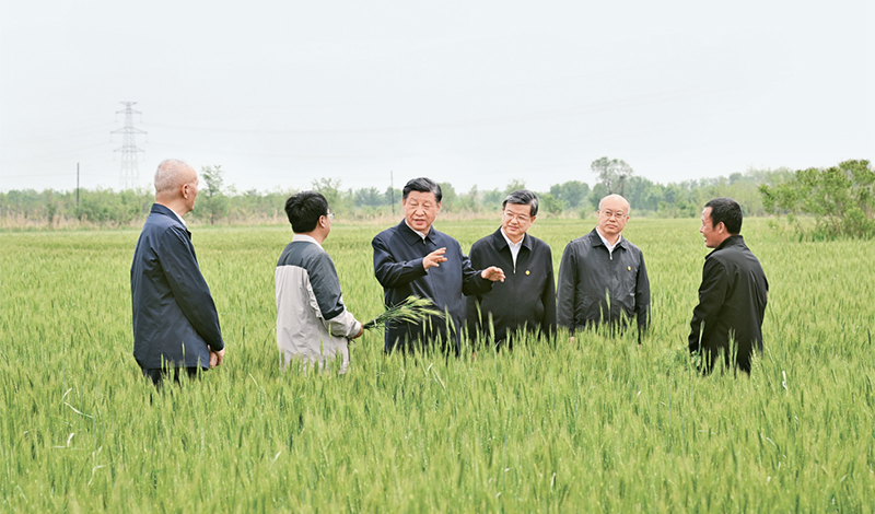 2023年5月11日至12日，，，，中共中央总书记、国家主席、中央军委主席习近平在河北考察，，，，并主持召开深入推进京津冀协同生长座谈会。。。。这是11日上午，，，，习近平在沧州市黄骅市旧城镇仙庄片区旱碱地麦田考察时，，，，同莳植户、农技专家亲热交流。。。。 新华社记者 李学仁/摄