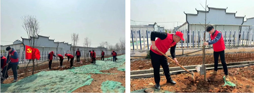 Screenshot_20240312_212623_com.tencent.mm_副本.jpg 【“植”此青绿】365英国上市建投集团所属项目组织开展义务植树活动