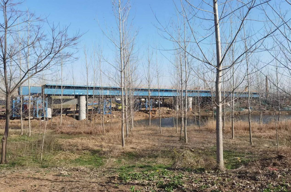 大干快上正其时，，，全力跑出“加速率”