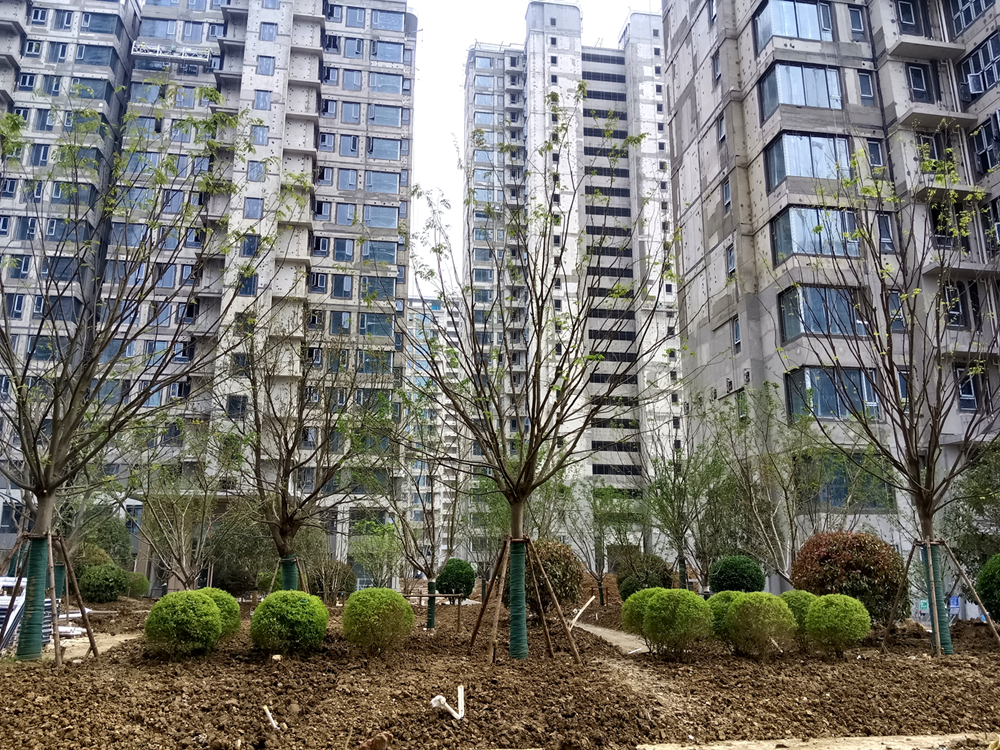 365英国上市(集团)有限公司-Official website