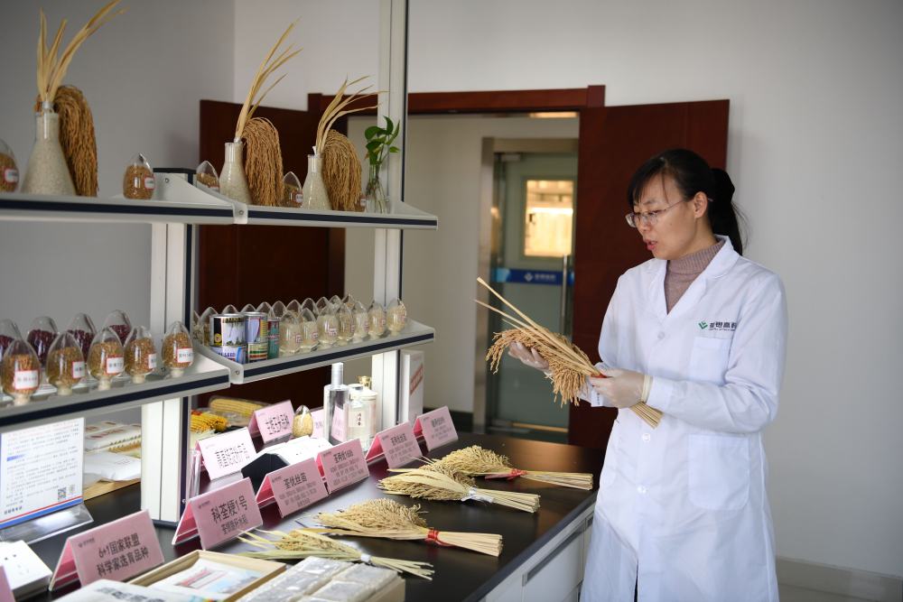 镜观·领航丨总书记三次考察合肥，，，科创主题贯串始终