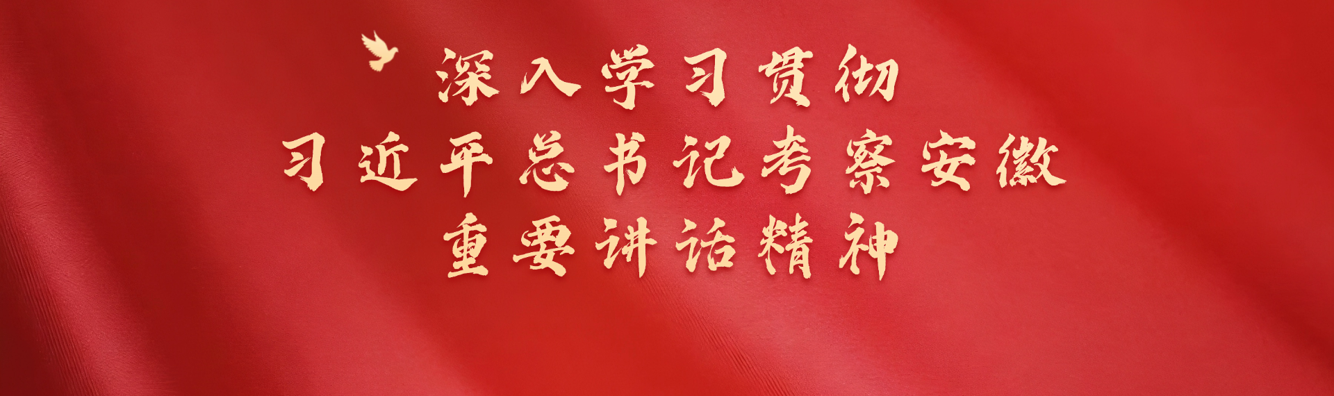 深入学习贯彻习近平总书记考察安徽主要讲话精神