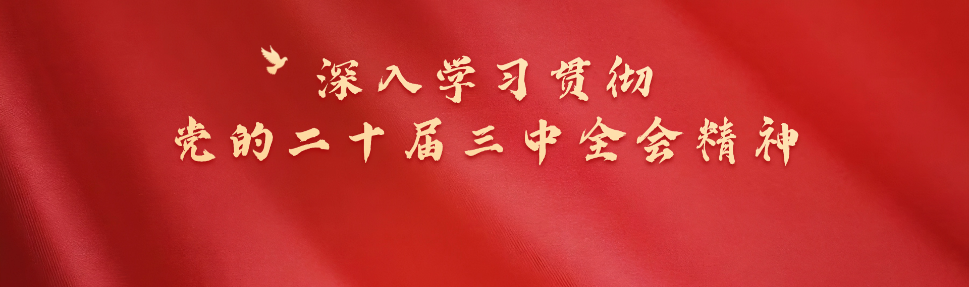 深入学习贯彻党的二十届三中全会精神