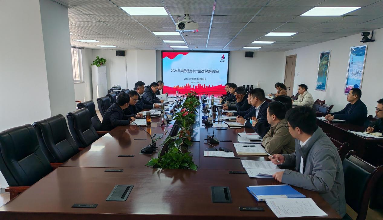 365英国上市交航召开2024年经责审计整改专题调理会