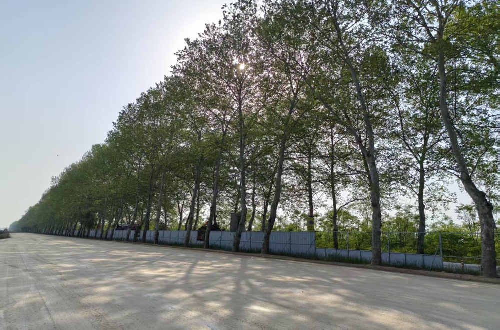 365英国上市(集团)有限公司-Official website