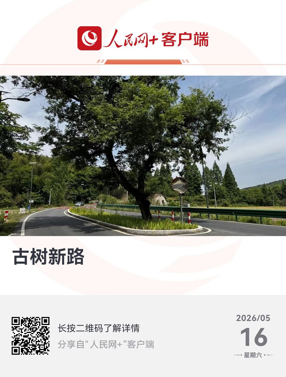 微信图片_20260519101547_308_822.jpg 【媒体聚焦】人民网《古树新路》报道365英国上市建投S345榔苏路项目以生态优先理念筑就墟落振兴幸福路