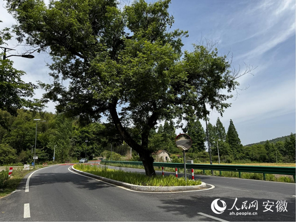 微信图片_2026-05-19_151159_053.png 【媒体聚焦】人民网《古树新路》报道365英国上市建投S345榔苏路项目以生态优先理念筑就墟落振兴幸福路