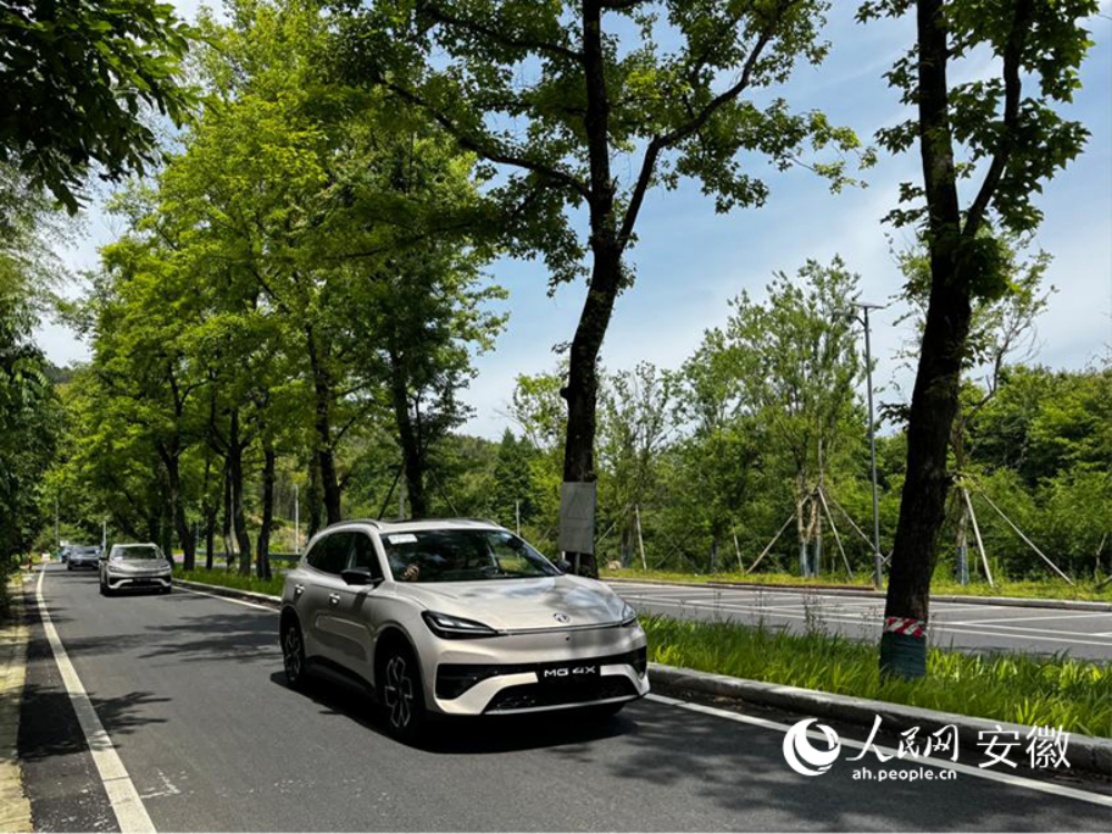 微信图片_2026-05-19_151226_804.png 【媒体聚焦】人民网《古树新路》报道365英国上市建投S345榔苏路项目以生态优先理念筑就墟落振兴幸福路